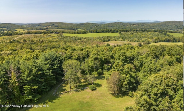 450 E Ancram Rd, Ancramdale, NY 12503