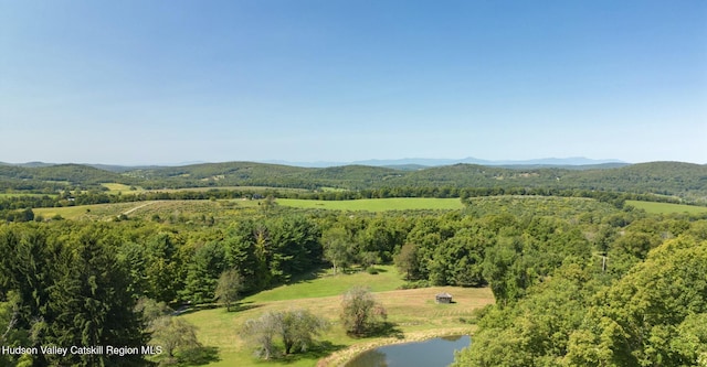 450 E Ancram Rd, Ancramdale, NY 12503