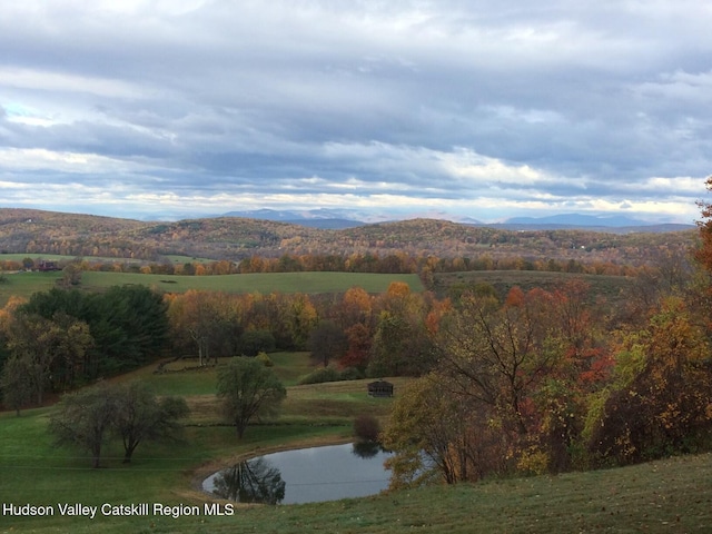 450 E Ancram Rd, Ancramdale, NY 12503