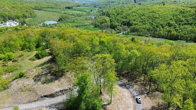 67 Taconic Creek Rd, Hillsdale, NY 12529