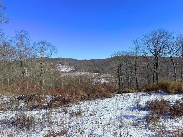 67 Taconic Creek Rd, Hillsdale, NY 12529