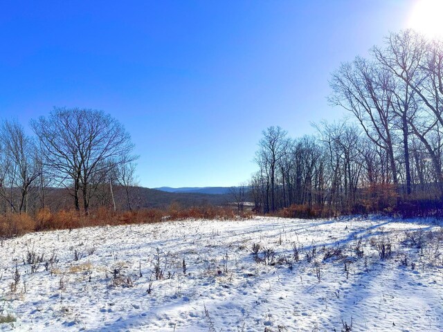 67 Taconic Creek Rd, Hillsdale, NY 12529