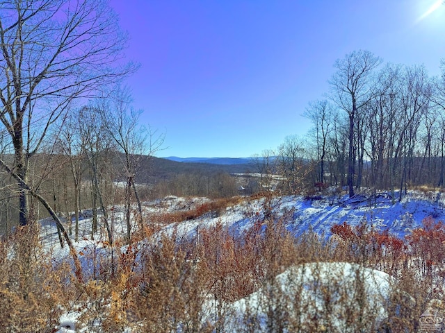 67 Taconic Creek Rd, Hillsdale, NY 12529