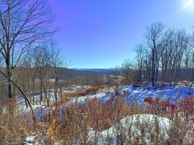 67 Taconic Creek Rd, Hillsdale, NY 12529