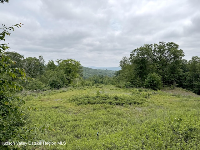 67 Taconic Creek Rd, Hillsdale, NY 12529