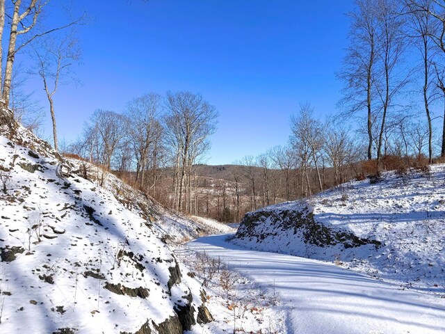 67 Taconic Creek Rd, Hillsdale, NY 12529