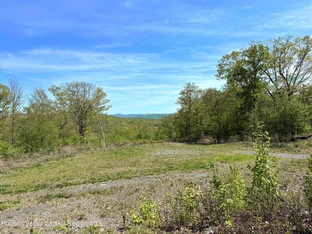 67 Taconic Creek Rd, Hillsdale, NY 12529