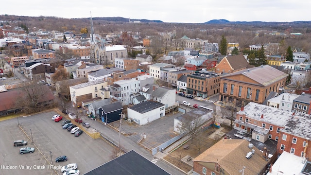 336 Warren St, Hudson, NY 12534 - drone / aerial view