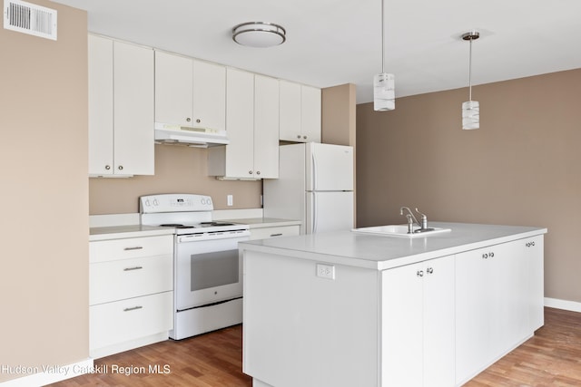 244 Columbia St, Hudson, NY 12534 - kitchen with white appliances, under cabinet range hood, a sink, light countertops, and light wood-style flooring