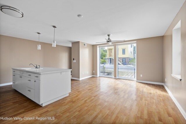 244 Columbia St, Hudson, NY 12534 - kitchen featuring light wood-style floors, a sink, and baseboards