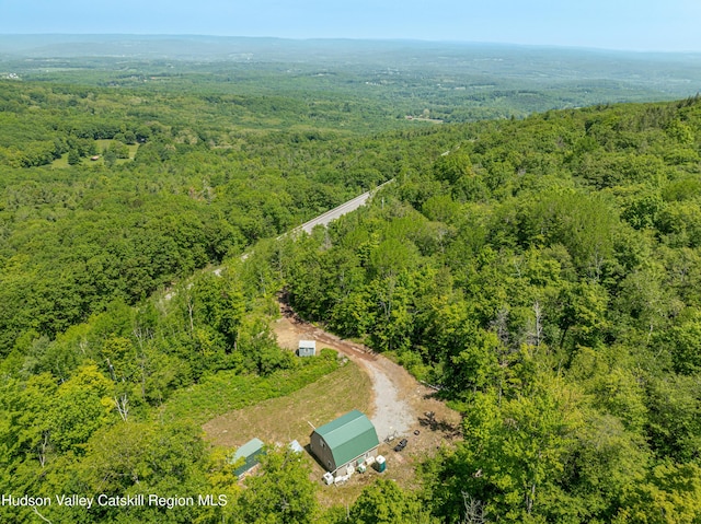 7209 Rte 23, East Durham, NY 12423 - photo 31