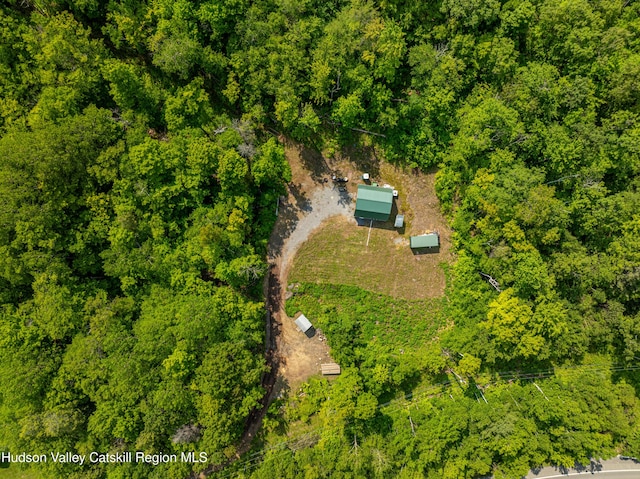 7209 Rte 23, East Durham, NY 12423 - photo 6