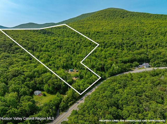 7209 Rte 23, East Durham, NY 12423 - photo 2