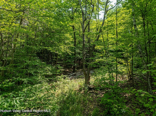 7209 Rte 23, East Durham, NY 12423 - photo 34