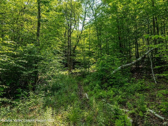 7209 Rte 23, East Durham, NY 12423 - photo 33