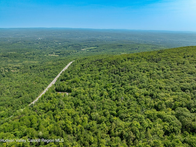 7209 Rte 23, East Durham, NY 12423 - photo 24