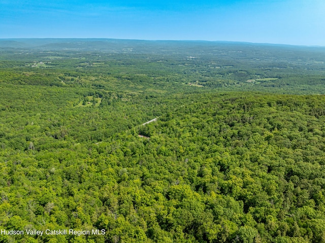 7209 Rte 23, East Durham, NY 12423 - photo 23