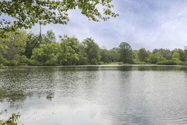 property view of water