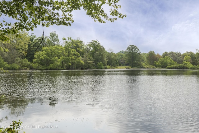 159 Sawmill Rd, Milan, NY 12571 - water view with a forest