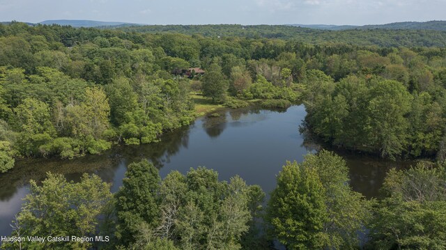 159 Sawmill Rd, Milan, NY 12571 - aerial overview of property's location featuring a heavily wooded area and a large body of water