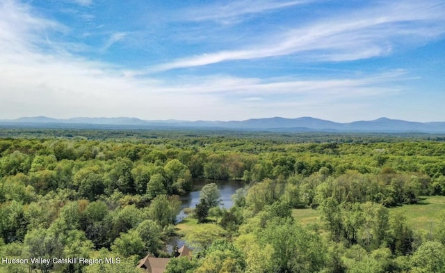 159 Sawmill Rd, Milan, NY 12571 - view of mountain backdrop with a heavily wooded area and a large body of water