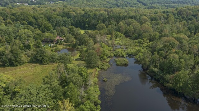 159 Sawmill Rd, Milan, NY 12571 - aerial overview of property's location featuring a forest and a large body of water