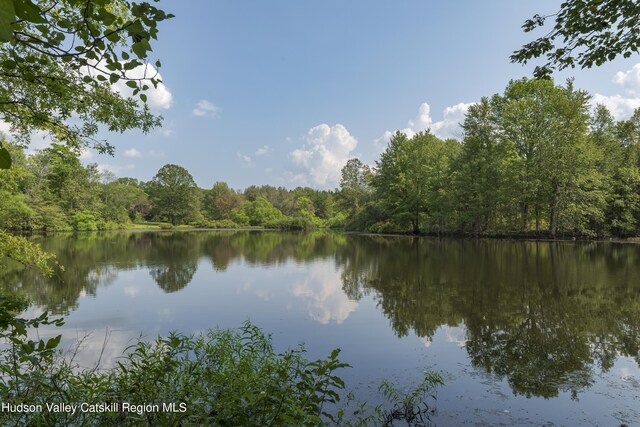 159 Sawmill Rd, Milan, NY 12571 - water view with a heavily wooded area