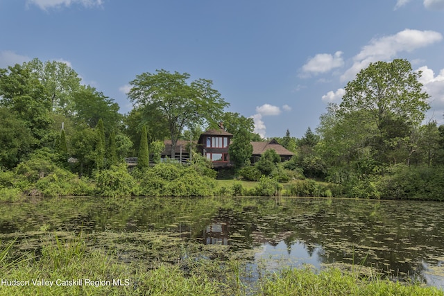 159 Sawmill Rd, Milan, NY 12571 - water view
