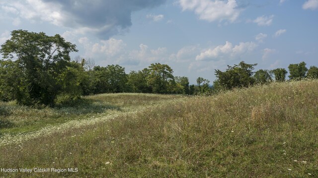 view of landscape featuring a rural view