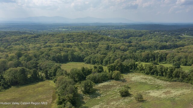 bird's eye view with a mountain view