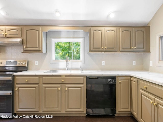 221 Cardinal Rd, Hyde Park, NY 12538 - kitchen with black dishwasher, stainless steel electric stove, range hood, and backsplash