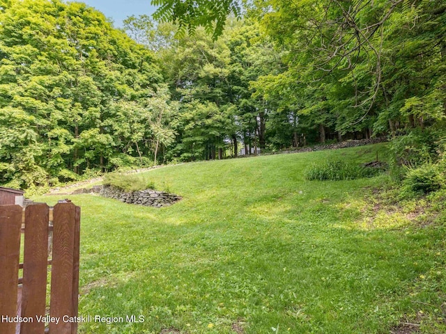 221 Cardinal Rd, Hyde Park, NY 12538 - view of yard featuring a wooded view