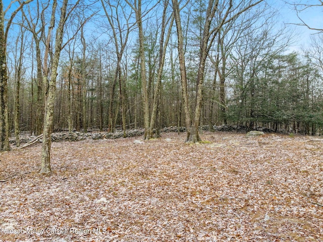 view of local wilderness