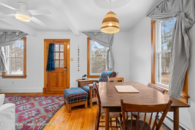 dining space featuring beam ceiling, ceiling fan, a wealth of natural light, and hardwood / wood-style floors