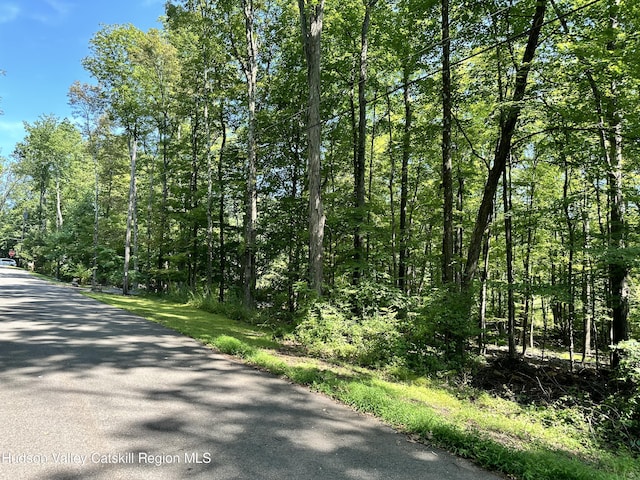 0LOT Shagbark Dr, Shokan NY, 12481 land for sale