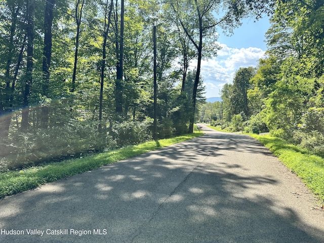 Listing photo 2 for 0LOT Shagbark Dr, Shokan NY 12481