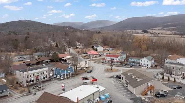 170 County Route 7a Unit 1, Copake, NY 12516 - bird's eye view of a mountainous background