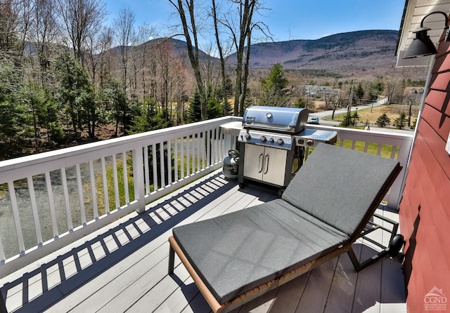 1681 Platte Clove Rd, Elka Park, NY 12427 - photo 32