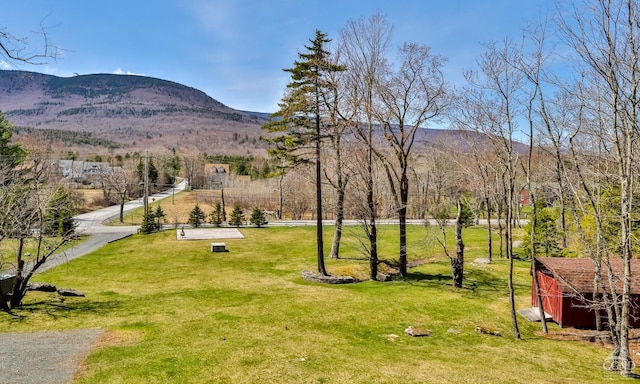 1681 Platte Clove Rd, Elka Park, NY 12427 - photo 40