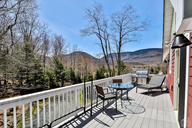 1681 Platte Clove Rd, Elka Park, NY 12427 - photo 5