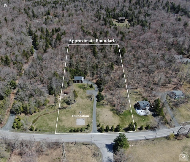 1681 Platte Clove Rd, Elka Park, NY 12427 - photo 43