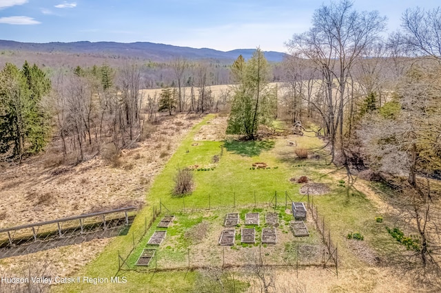 drone / aerial view with a rural view and a mountain view