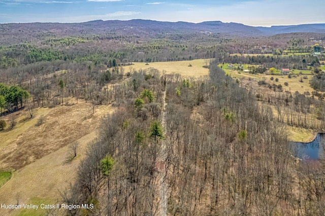 aerial view featuring a water and mountain view