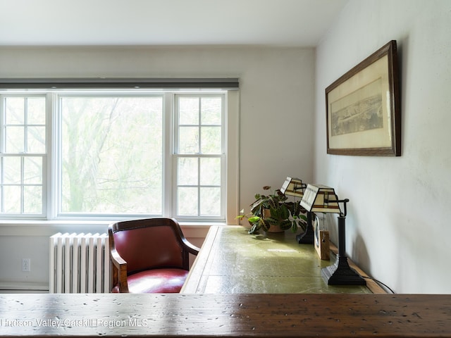 218-222 Mill St, Hudson, NY 12534 - photo 26