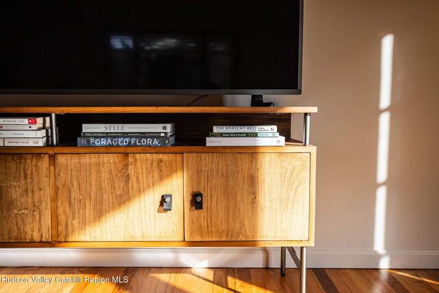 interior details featuring baseboards and wood finished floors