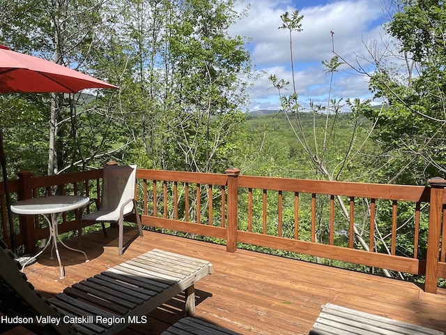 1011 W Settlement Rd, Roxbury, NY 12474 - photo 25