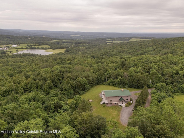 452 Cunningham Rd, Durham, NY 12422 - photo 43