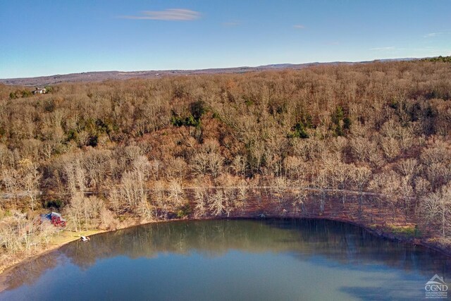 65 Patricia Ln, Stanford, NY 12514 - photo 22