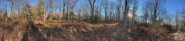 65 Patricia Ln, Stanford, NY 12514 - photo 26