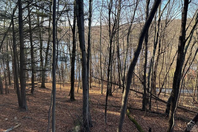 65 Patricia Ln, Stanford, NY 12514 - photo 3